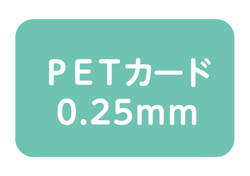 pet02500100-4x4